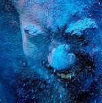 blueholi.jpg