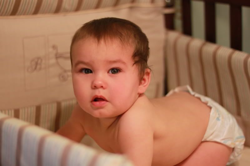 IMAGE: http://i224.photobucket.com/albums/dd109/keny_paintball/IMG_0143.jpg