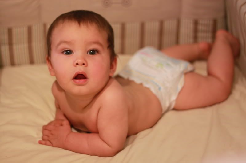 IMAGE: http://i224.photobucket.com/albums/dd109/keny_paintball/IMG_0145.jpg