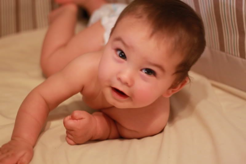 IMAGE: http://i224.photobucket.com/albums/dd109/keny_paintball/IMG_0146.jpg