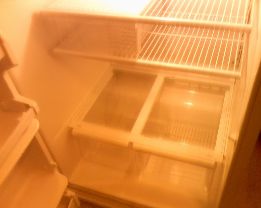 angies empty fridge Pictures, Images and Photos