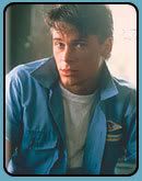 sodapop
curtis