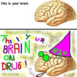 F78A9831-8903-4B4A-A0F0-40EA2499DF4D-537-00000139322EFC50.jpg
