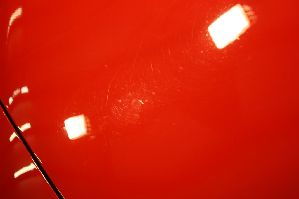IMG_4441.jpg