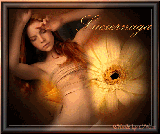 luciernaga1.gif picture by firmasmundoalegria