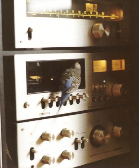 first_pioneer_hifi_components.jpg