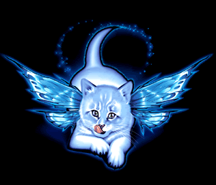 kitty.gif