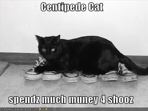 Centipede With Shoes