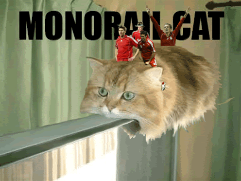 monorail cat gif. monorail-cat.gif