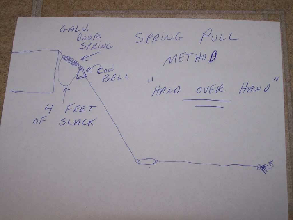 Dummy line setup's! Tidal Fish Forum