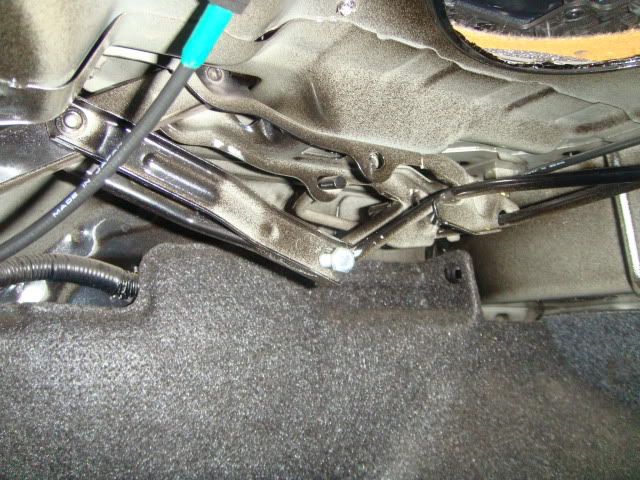 [Image: DSC08884.jpg]