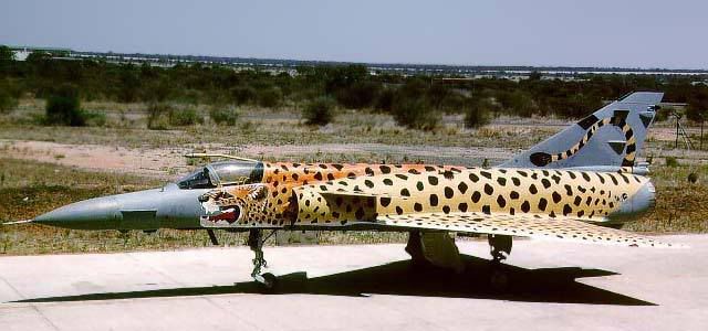 cheetah_2.jpg
