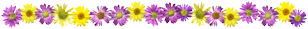 flwerbar1_mini.png picture by Lilith_RJ2