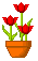 tulipot1.gif picture by Lilith_RJ2