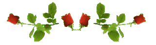 red-rose-bar.gif picture by Lilith_RJ2