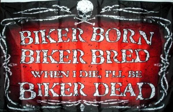 aangelous poetry phenomenal woman defined first Phenomenal+woman+poem phenomenal woman poem. aangelous poetry phenomenal woman defined first Phenomenal+woman+poem