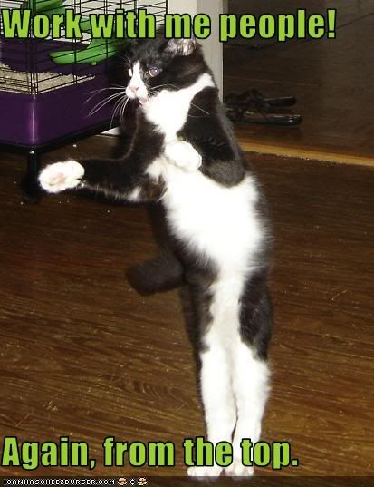 Forum Image: http://i224.photobucket.com/albums/dd233/NakeBenihime/Lol%20Cats/Catischoreographer.jpg