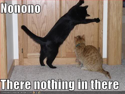 Forum Image: http://i224.photobucket.com/albums/dd233/NakeBenihime/Lol%20Cats/Catishidingsomething.jpg