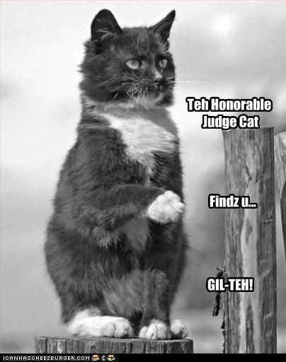 Judge Cat finds you guilty Pictures, Images and Photos