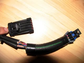 IMG_5571.jpg