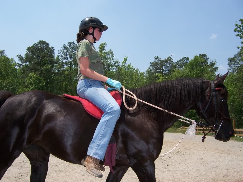 Little Joe Bareback Saddle? | EquiFriends Little Joe Bareback Saddle? | EquiFriends