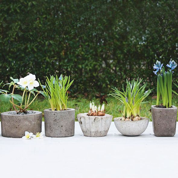 Little Green Notebook: Concrete Planters