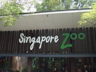 Singapore Zoo logo