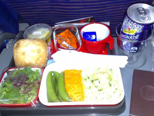 Airplane Meal.