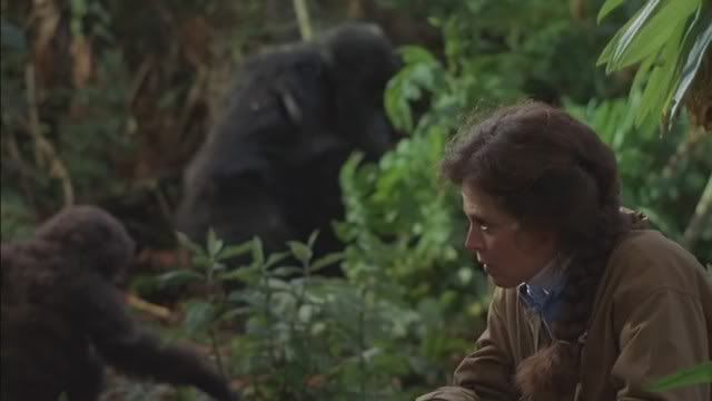 Gorillas in the Mist: The Story of Dian Fossey *1988* [DVDRip XviD][Subs PL] preview 2