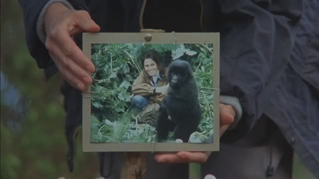 Gorillas in the Mist: The Story of Dian Fossey *1988* [DVDRip XviD][Subs PL] preview 3