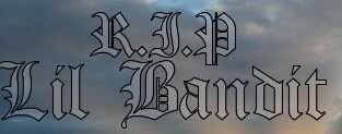 RIP LIL BANDIT
