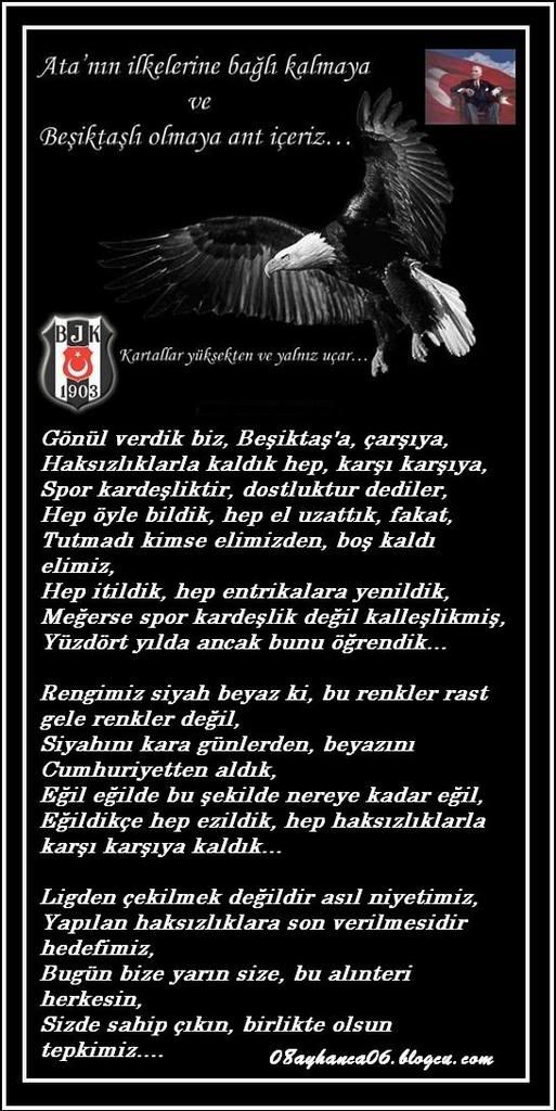 BJK-ARILIYIZ.jpg picture by gecem