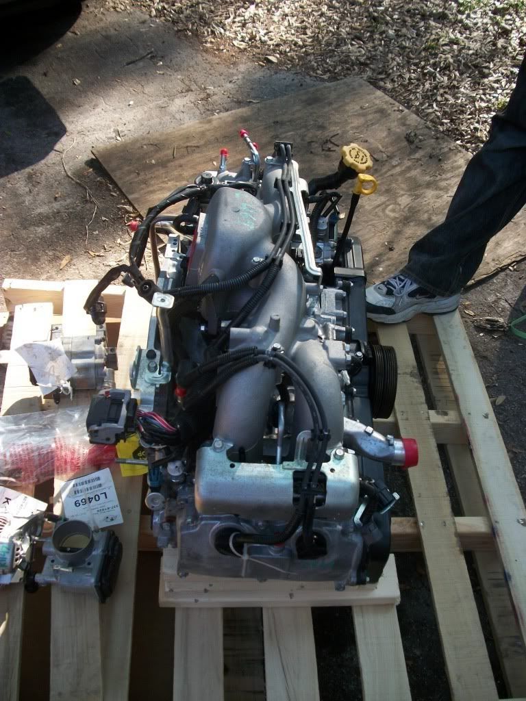 Image may have been reduced in size. Click image to view fullscreen.