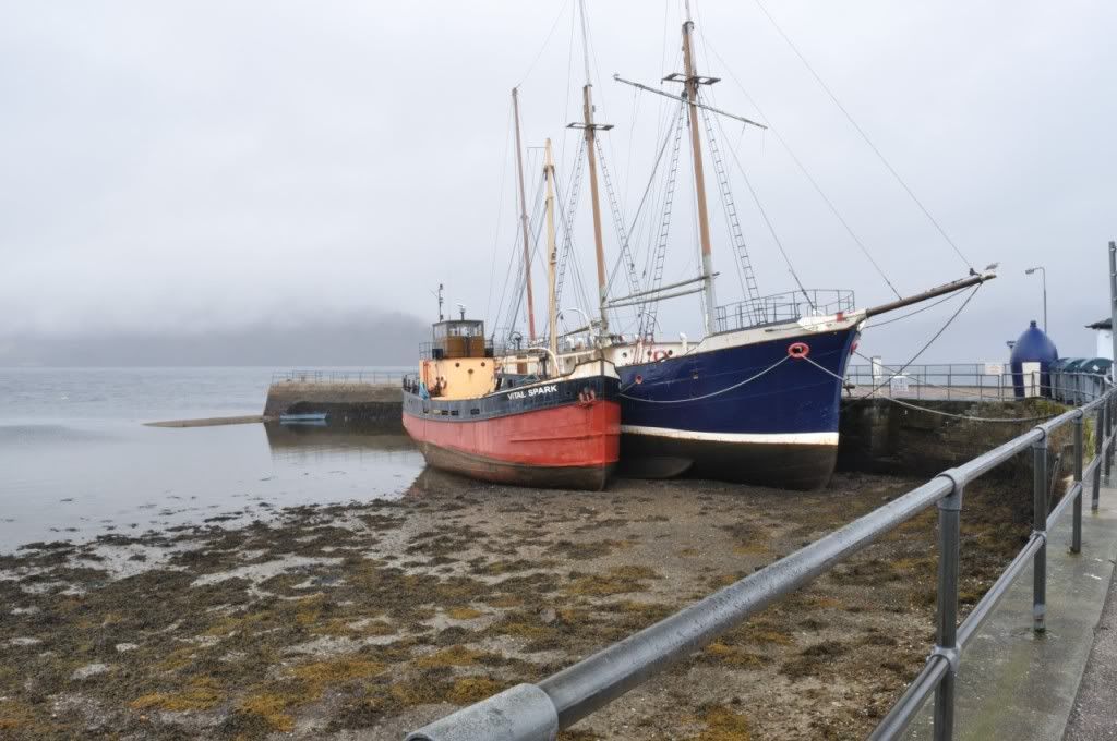 DSC_0416.jpg