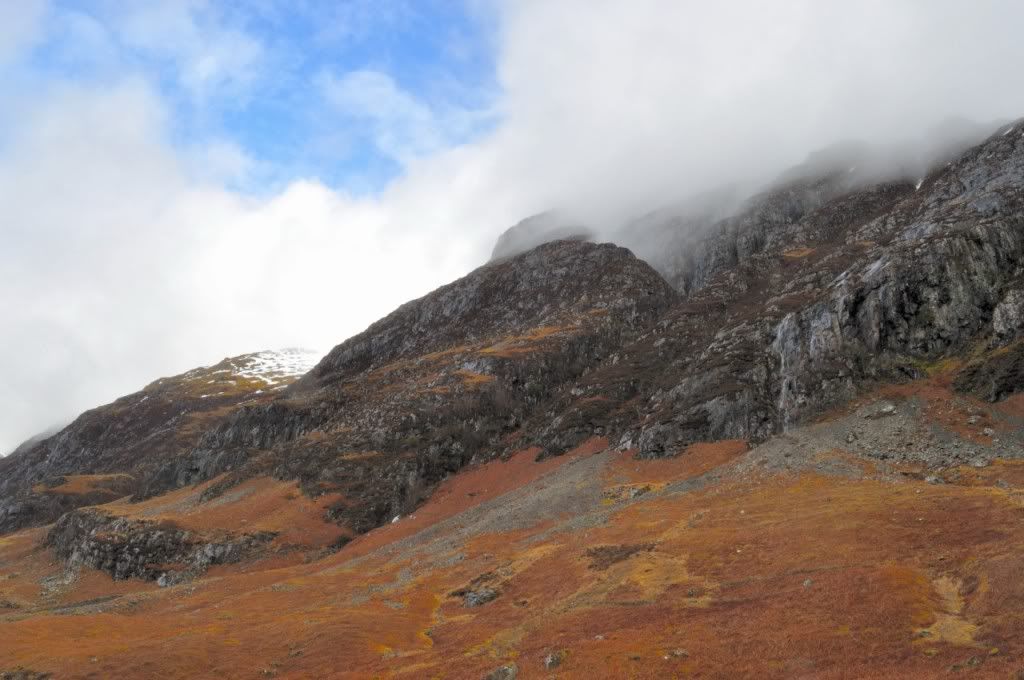 DSC_0469.jpg