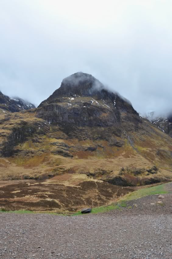 DSC_0479.jpg