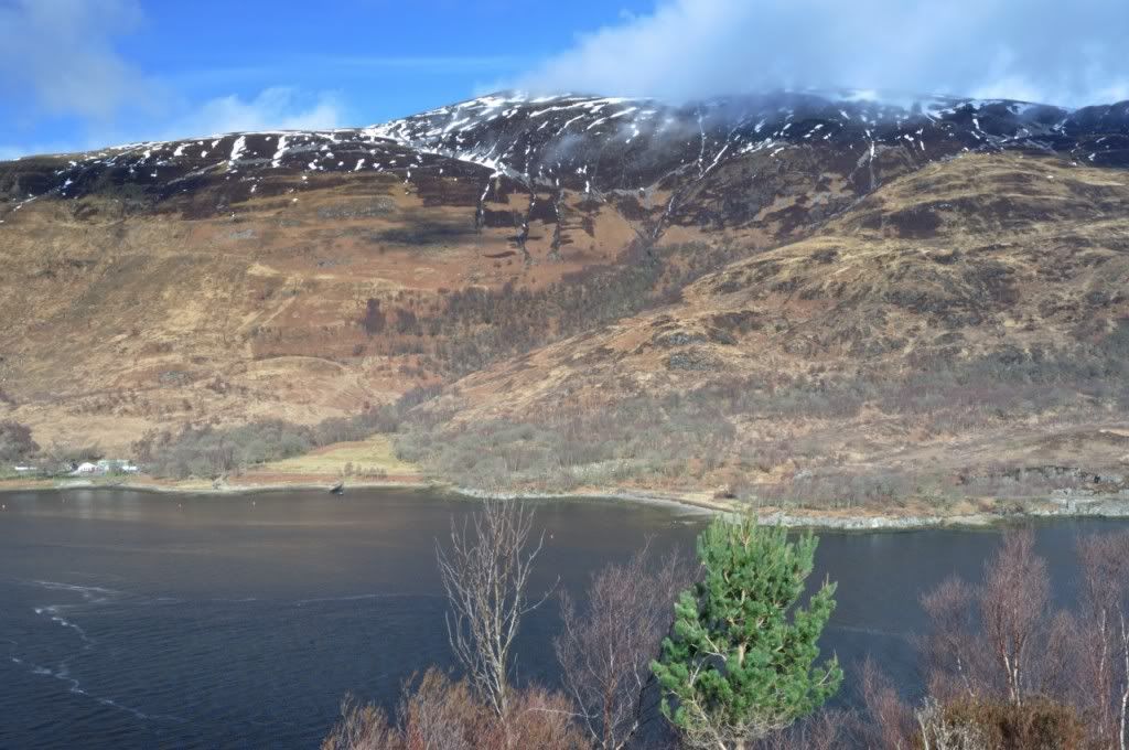 DSC_0494.jpg