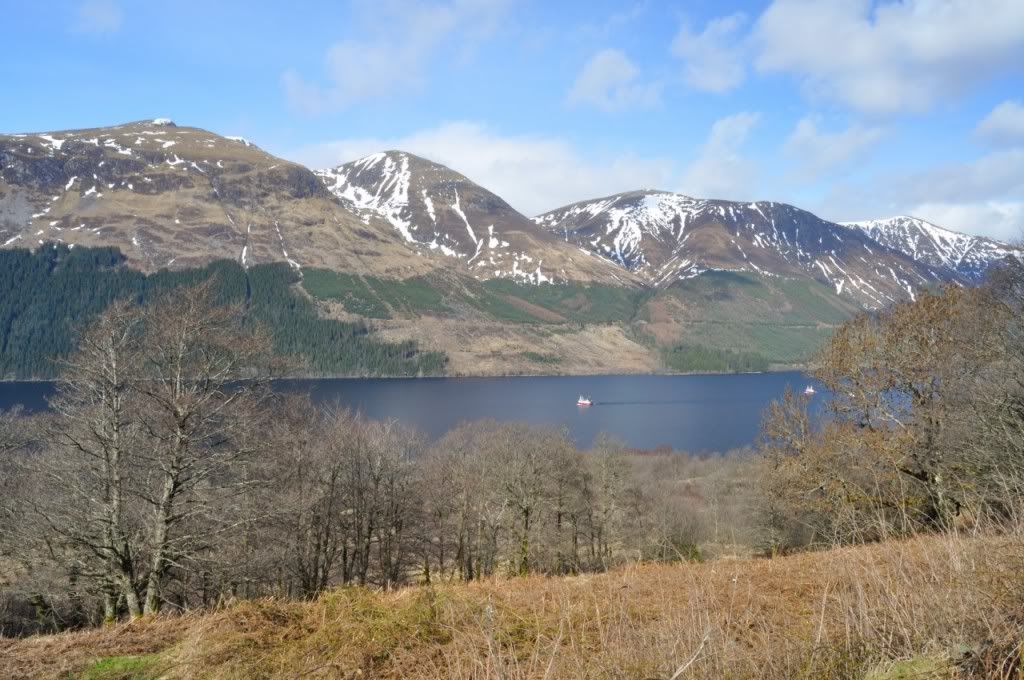 DSC_0505.jpg