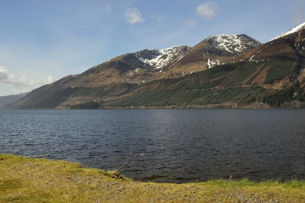 DSC_0513.jpg
