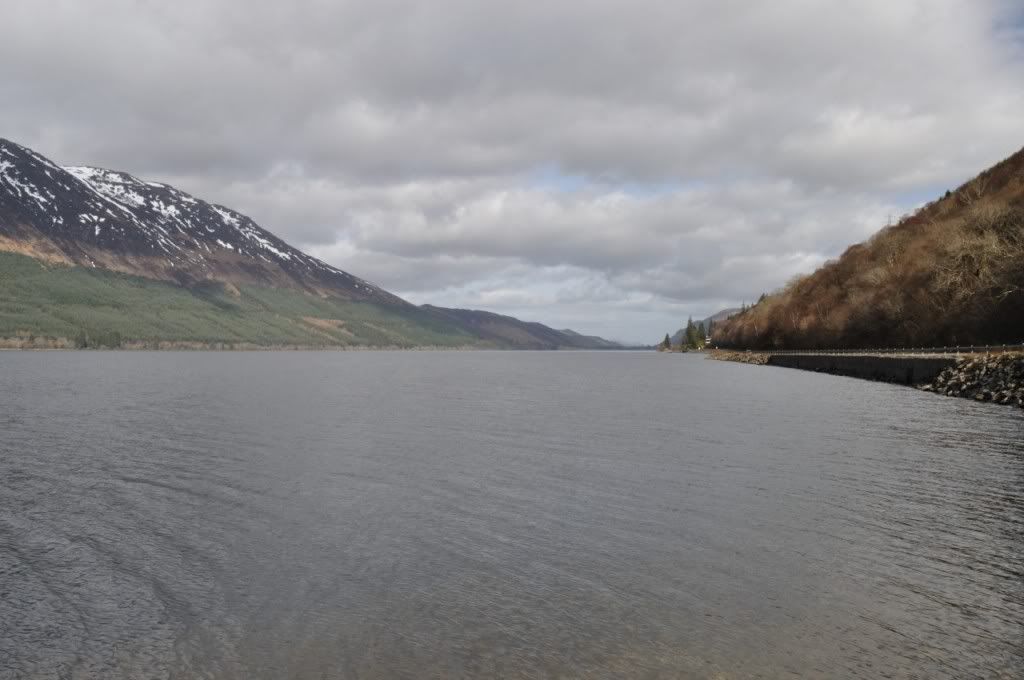 DSC_0524.jpg