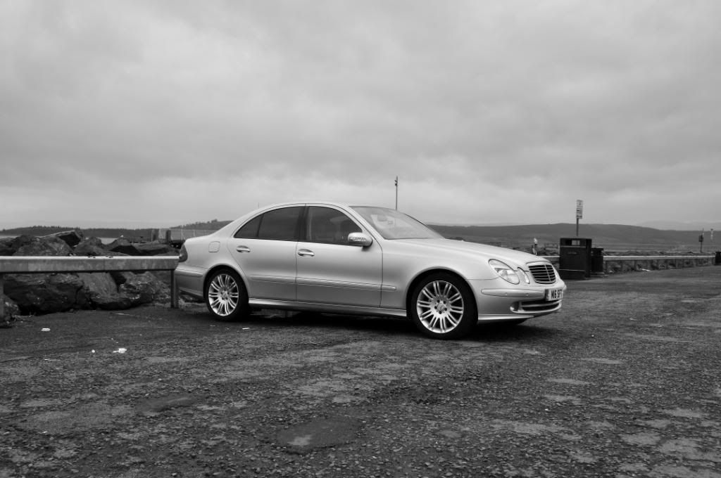 DSC_0041.jpg