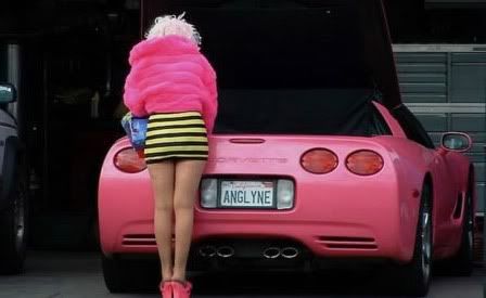 Barbie Vette