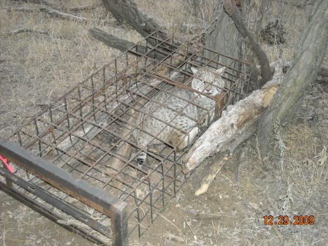 DSCN0039.jpg