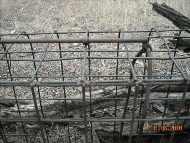 DSCN0108.jpg
