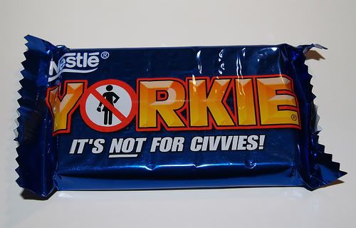 YorkieNFC.jpg