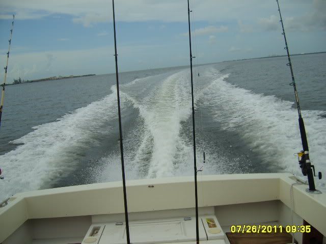 S6003161.jpg