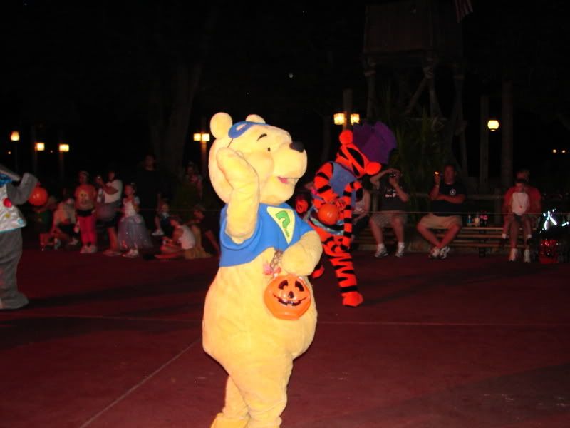 DSC03475.jpg