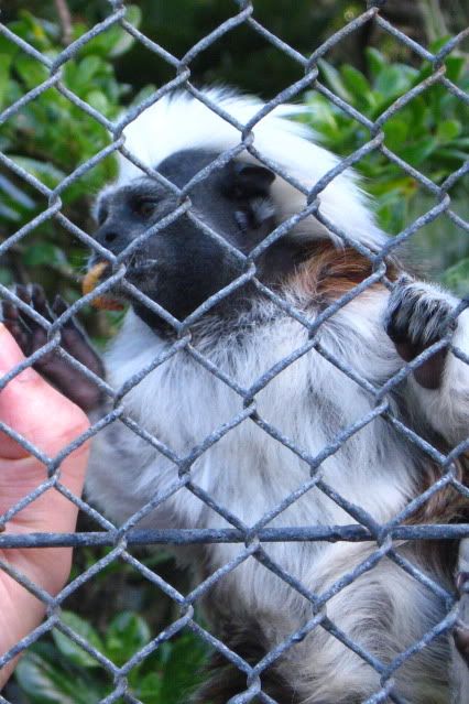 WGTN_ZOO_196.jpg