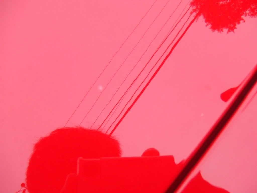 DSCF3248.jpg