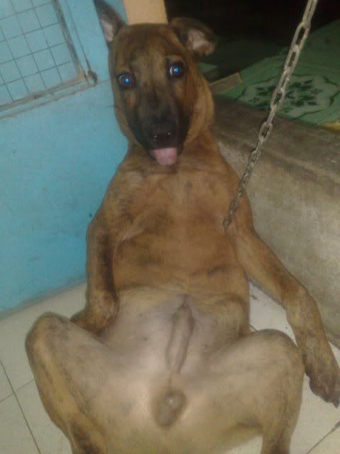 bắt tró bắt tró,anh em nào gần gần khu vực phường 5 phường 6 quận 8 vào nha - 2